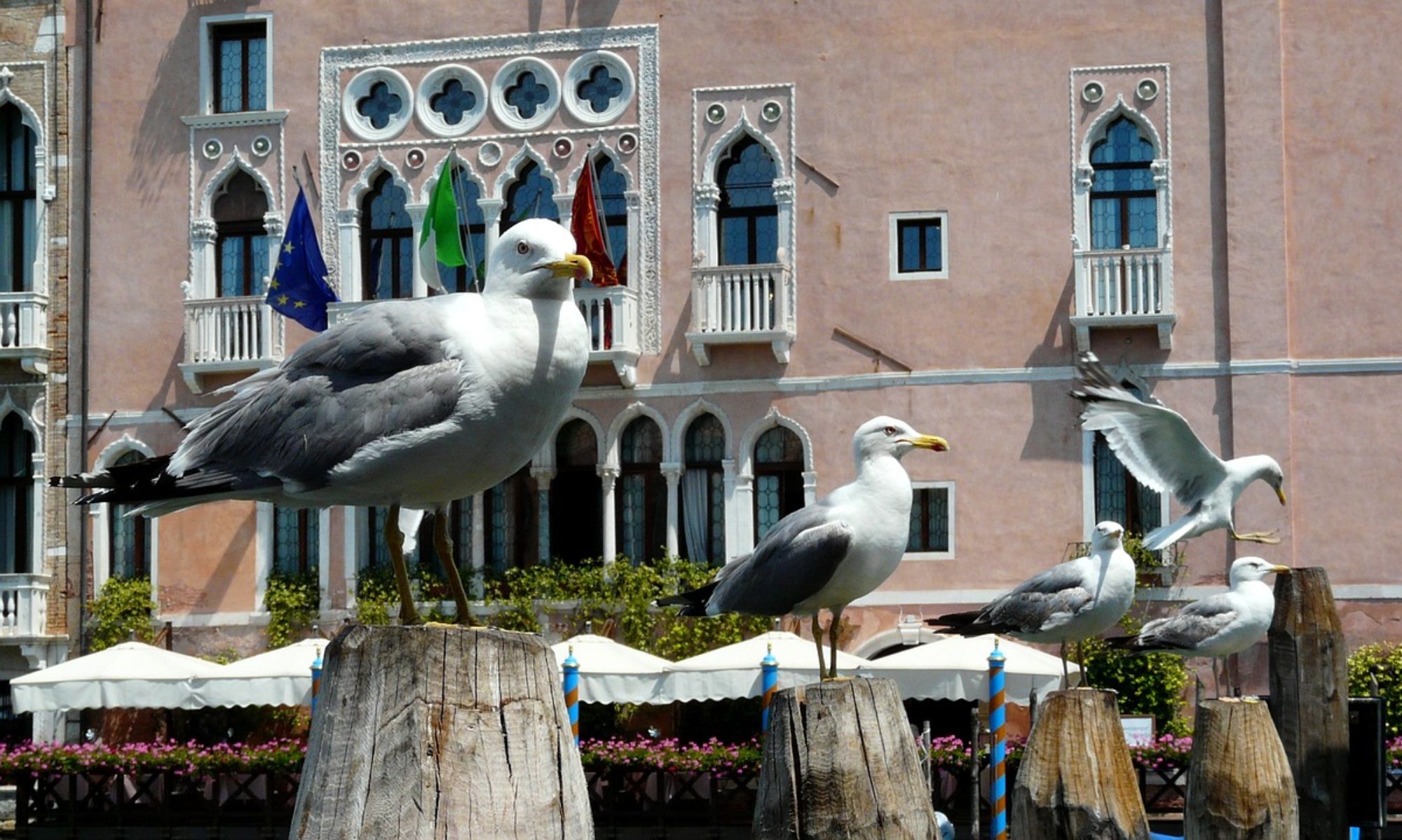 Rooms in Venice